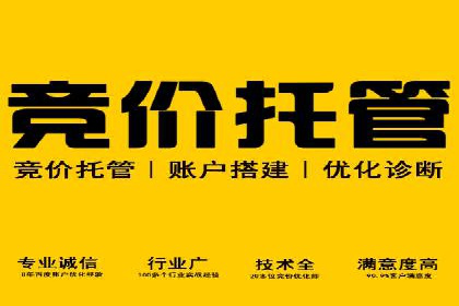 行业案例：SEM推广代运营如何助力企业腾飞