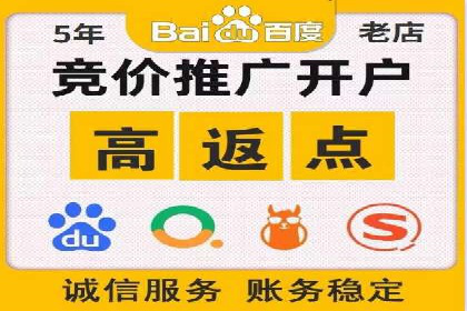百度广告投放策略优化的经典案例